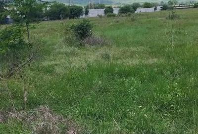 Spațiu comercial, în Exterior Vest - 2