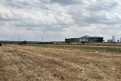 Teren de 8000 mp, în Șimnicu de Sus - 1