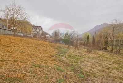 Teren Construcții intravilan de 656 mp, în Cheile Râșnoavei - 4