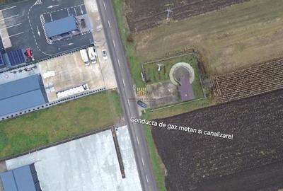 Teren de 14066 mp, în Mihoveni - 9
