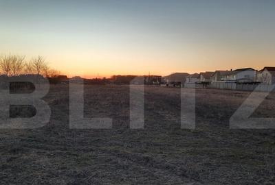 Teren extravilan, 13726 mp, zona Mehala - 2