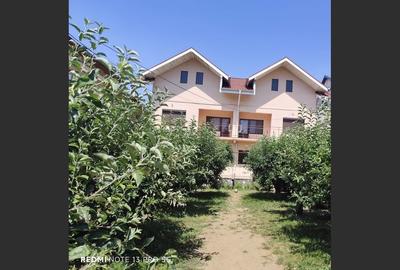 Casă Duplex 10 camere, Ploiești, zona Albert - 2