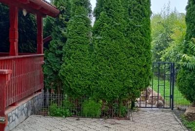 Colt de rai intr-un peisaj de poveste! Casa 4 camere intre Dacia- Viscri - 8