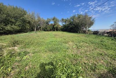 Proprietate cu potential: casa cu teren 938 mp langa Tureni, toate utilitatile - 10