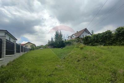 Teren intravilan de vanzare - 3