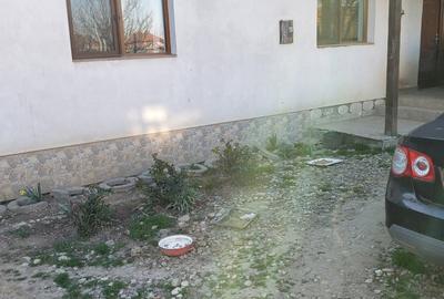 Casă cu 3 camere în Urseni - 3