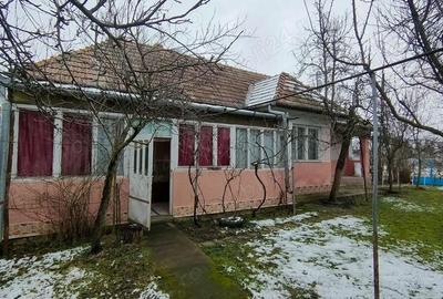 Casă cu 2 camere cu Teren 3000 Mp în Sântana de Mureș - 1