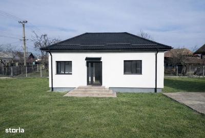 Casă cu 3 camere cu Teren 3242 Mp în Dănicei - 8