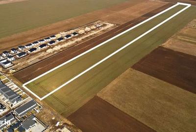 Teren de 38500 mp, în Tărlungeni - 2