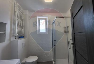 Apartament cu 3 camere decomandat, mobilat în Micălaca - 14