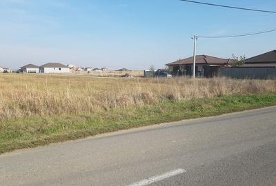 Teren de 5000 mp, în Șag - 2