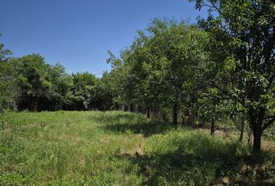 Casă cu 3 camere în Meieni - 7