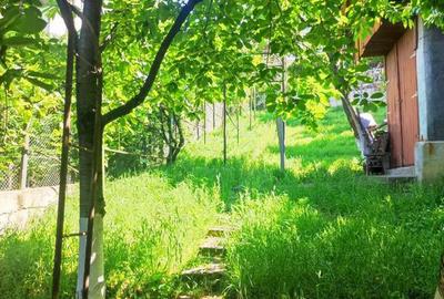 Casa zona dealuri - 8