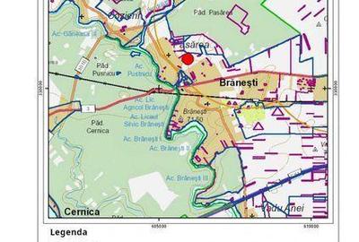 Teren de 5000 mp, în Brănești - 3