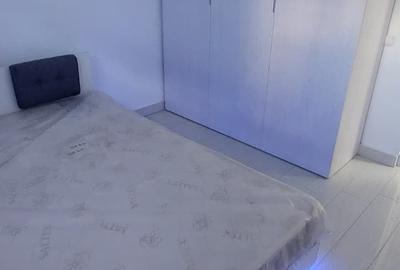 Garsonieră decomandată, mobilată în Alexandru cel Bun - 3