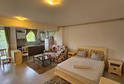 Garsoniera zona Otopeni (Aeroport) bloc NOU, Mobilata-Utilata MODERN - 3