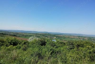 Teren de 350 mp, în Cercu - 1