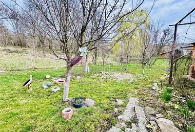 Casă individuală cu 2 camere cu Canalizare în Nucet - 10