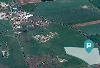 Teren de 26606 mp, în Săcălaz - 10