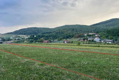 Teren de 11500 mp, în Târgu Neamț - 4