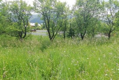 Teren intravilan Viisoara - 8