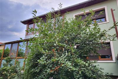 Casă cu 5 camere în Jimbolia - 9