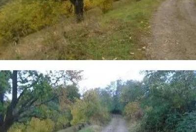 Teren Faneata extravilan, Vizantea Livezi, ID: R2800539 - 2