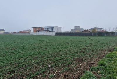 Ovidiu- Poiana, teren intravilan ideal pentru constructie case - 1