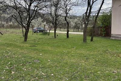 Spațiu comercial, în Boș - 5