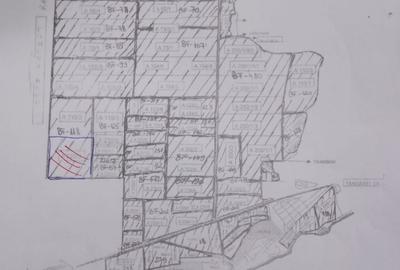 Teren de 10000 mp, în Ograda - 1