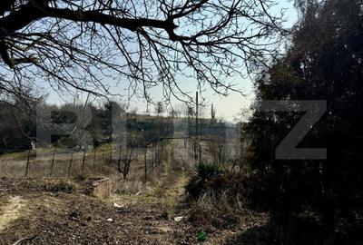 Conac cu teren intravilan 8759 mp, priveliste panoramica, Ci - 28