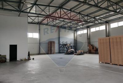 Spațiu industrial, de 535 mp, în Ilia - 3