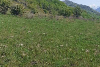 Teren în Cornereva - 5