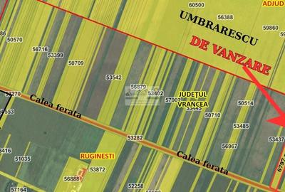 Teren agricol extravilan de 6797 mp, în Ruginești - 1