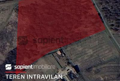 Spațiu comercial, în Vest - 2