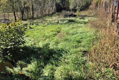 Casa batraneasca aflata in inima localita?ii Buchin, a?teapta o noua familie sa ii dea via?a din nou - 11