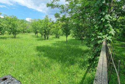 Spațiu comercial, în Brebu - 6