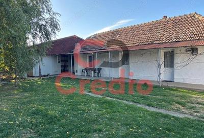 Casă cu 2 camere cu Teren 1200 Mp în Peciu Nou - 5