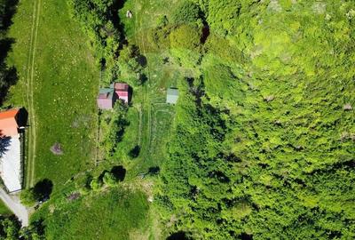 Comision 0%! Proprietate in natura, priveliste superba, Sita Buzaului - 5