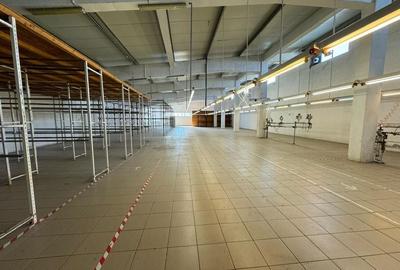 Hala productie P+1 si apartament de serviciu Navodari - c-tie beton - 10