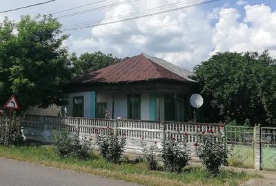 Casă cu Teren 3000 Mp în Râmnicelu - 2