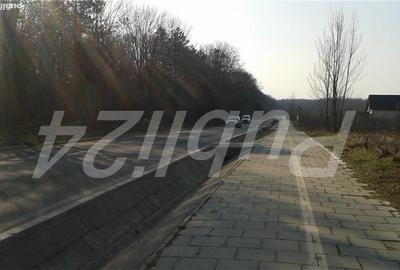 Spațiu comercial, în Snagov - 3