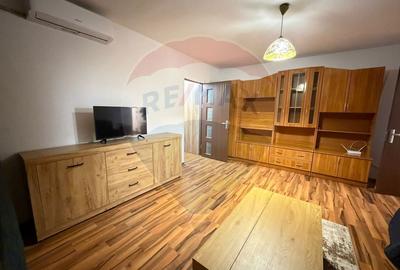 Apartament cu 3 camere de inchiriat- Brazda lui Novac - 1