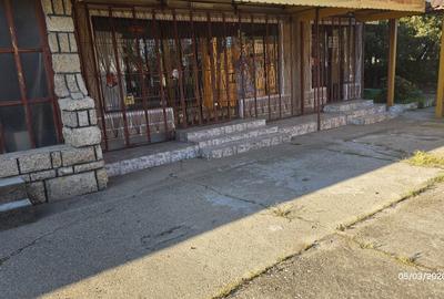 Spațiu comercial, de 55 mp, în Central - 2