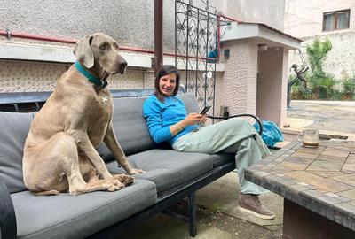 Casă cu 10 camere cu Canalizare în Grădina Icoanei