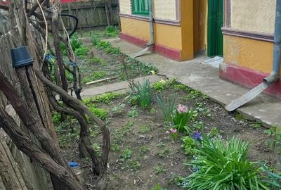 Casă cu 3 camere în Silistraru - 4