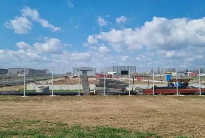 Teren de 8000 mp, în Măgurele - 14