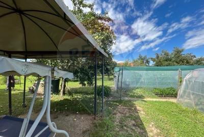 Casa str. Progresului , Sebes, destinatie : uni/multifam... - 3