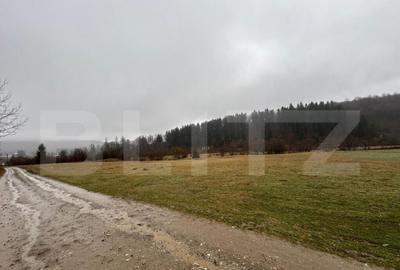 Teren de 4150 mp, în Central