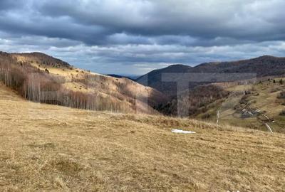 Teren în Muntele Băișorii - 2